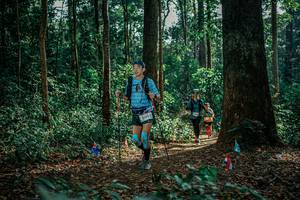 BIB: 
                            <button type="button" onclick="openModal(26134417)" class="btn btn-primary btn-sm float-right btn-popup" data-toggle="modal" data-target=".modal-high-quality">
                        <i class="fas fa-shopping-cart"></i> Add to Cart
                    </button>
                                            <button type="button" onclick="isThisMe(26134417, true)" class="btn btn-success btn-sm float-right btn-popup btn-isme hidden" data-toggle="tooltip" data-placement="bottom" title="นี่คือรูปของคุณใช่ไหม คลิกที่นี่เพื่อเอาเข้าอัลบั้ม">
                        <i class="fas fa-plus"></i> Add to album
                    </button>
                    <button type="button" onclick="isThisMe(26134417, false)" class="btn btn-warning btn-sm float-right btn-popup btn-isnotme hidden">
                        <i class="fas fa-ban"></i> Remove from album
                    </button>